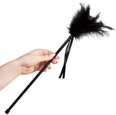 SECRETPLAY – PLUMERO PLUMAS NEGRO 40 CM