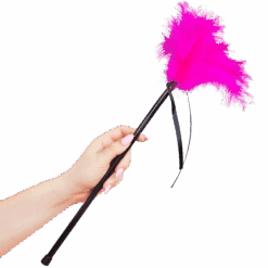 Comprar SECRETPLAY - PLUMERO PLUMAS ROSA 40 CM al mejor precio - Envíos Discretos