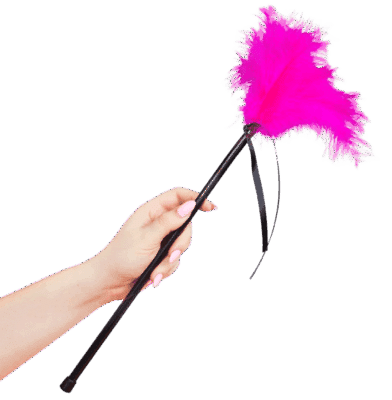SECRETPLAY – PLUMERO PLUMAS ROSA 40 CM
