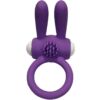 Comprar ARMONY - MR BUNNY ANILLO VIBRADOR SILICONA PURPLE al mejor precio - Envíos Discretos