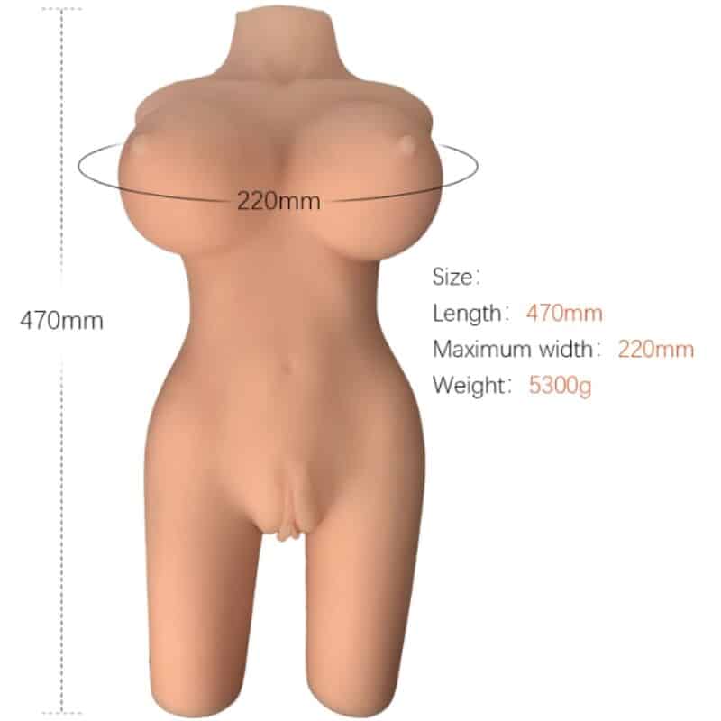 ARMONY - TORSO FEMENINO REALÍSTICO MODELO 6 - piKanteo | Despierta tu lado más piKante Comprar ARMONY - TORSO FEMENINO REALÍSTICO MODELO 6 al mejor precio - Envíos Discretos