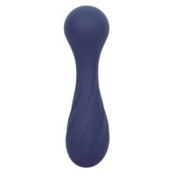 Comprar CALEXOTICS - CHARISMA TEMPTATION MASAJEADOR 12 FUNCIONES MORADO al mejor precio - Envíos Discretos